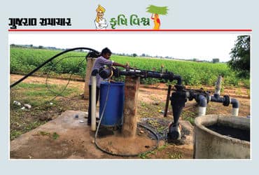 ધોરિયા પદ્ધતિની સિંચાઈમાં બહુ ગુમાવ્યું, હવે ટપક પદ્ધતિ અપનાવ્યે જ છૂટકો