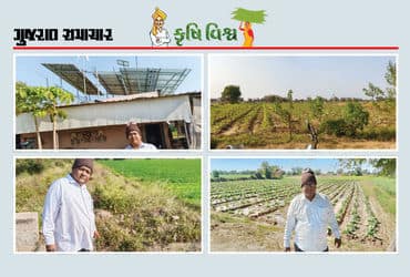 સોલાર ઊર્જાનો જ્યારે વિચાર પણ નહોતો ત્યારે સોલાર અપનાવાતા ચમત્કારિક પરિણામ મળ્યાં