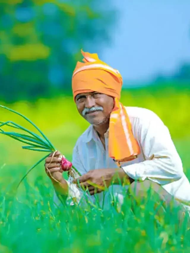 यूपी में किसानों के लिए बड़ी घोषणा, आमदनी में होगी बढ़ोतरी